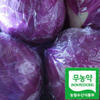 ♥할인♥[무농약]적양배추3kg/무농약재배