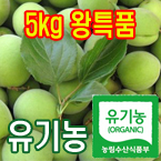 100%유기농청매실5kg(왕특품:장아찌용)[전남광양]/무료배송(5월28일부터 발송)