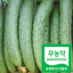 무농약오이2kg/생식용/조리용(친환경 오이)