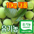 100%유기농청매실10kg(대품:엑기스용)[전남광양]/무료배송(5월28일부터 발송)