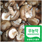 무농약 생표고버섯1kg/무농약재배