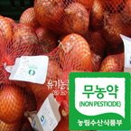 무농약 햇양파3kg/무농약재배