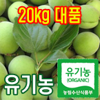100%유기농청매실20kg(대품:엑기스용)[전남광양]/무료배송(5월28일부터 발송)
